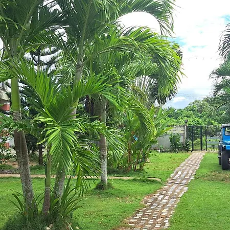 Jean Studio Apartment Panglao Exterior photo