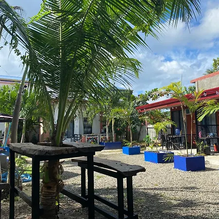 Jean Studio Apartment Panglao Room photo